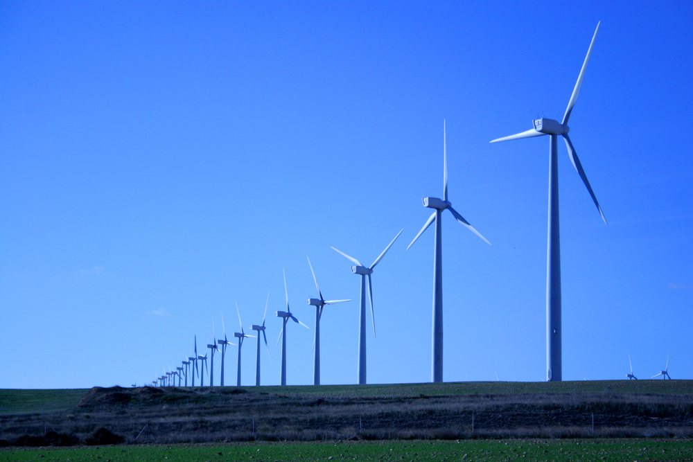 Wind energy leader ventures in