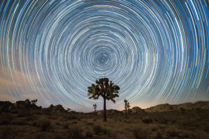 Star Trails - Psychedelic Sky