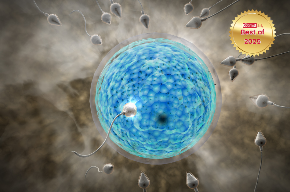 First hormone-free male birth control pill shown safe in early trial