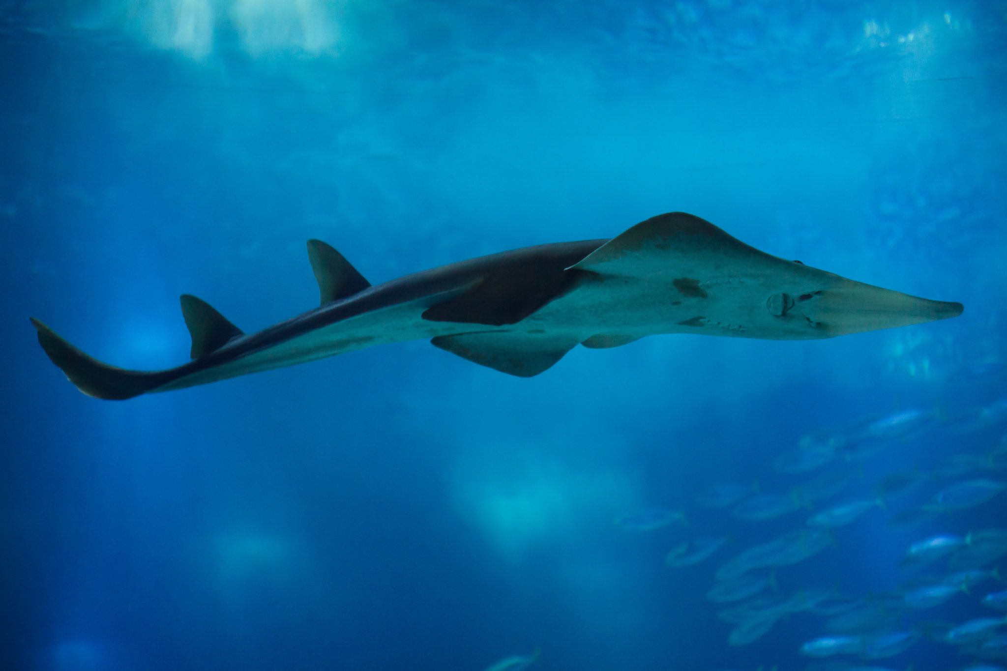 Global agreement boosts protec