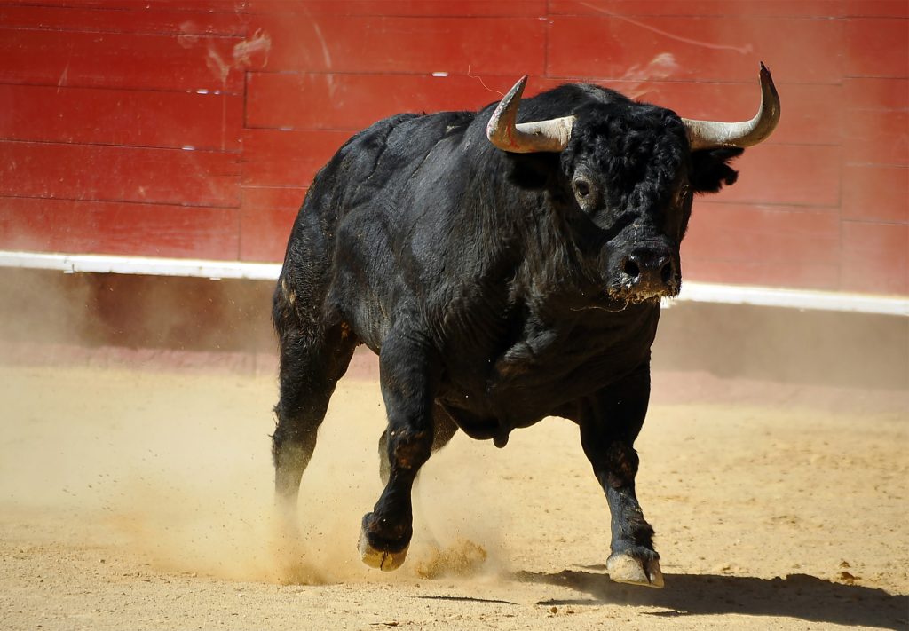 Mexico City keeps bullfighting… but without the blood