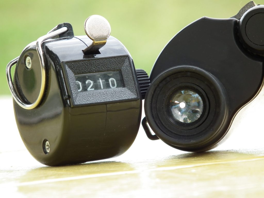 Five bird species missing for decades were found in 2025 thanks to citizen birders