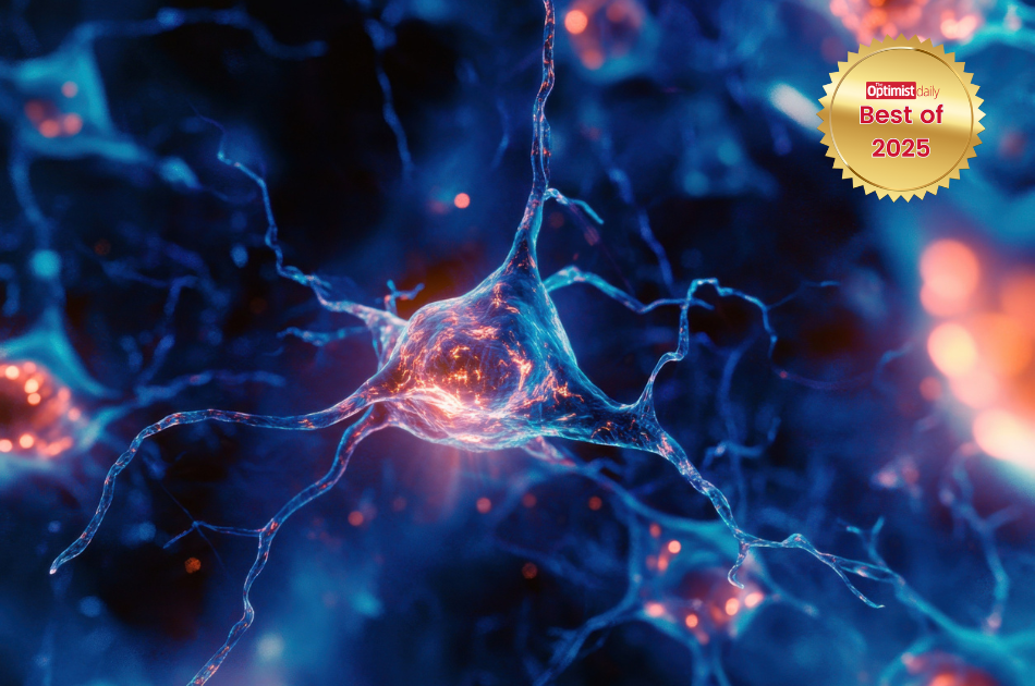 New vagus nerve stimulation tr