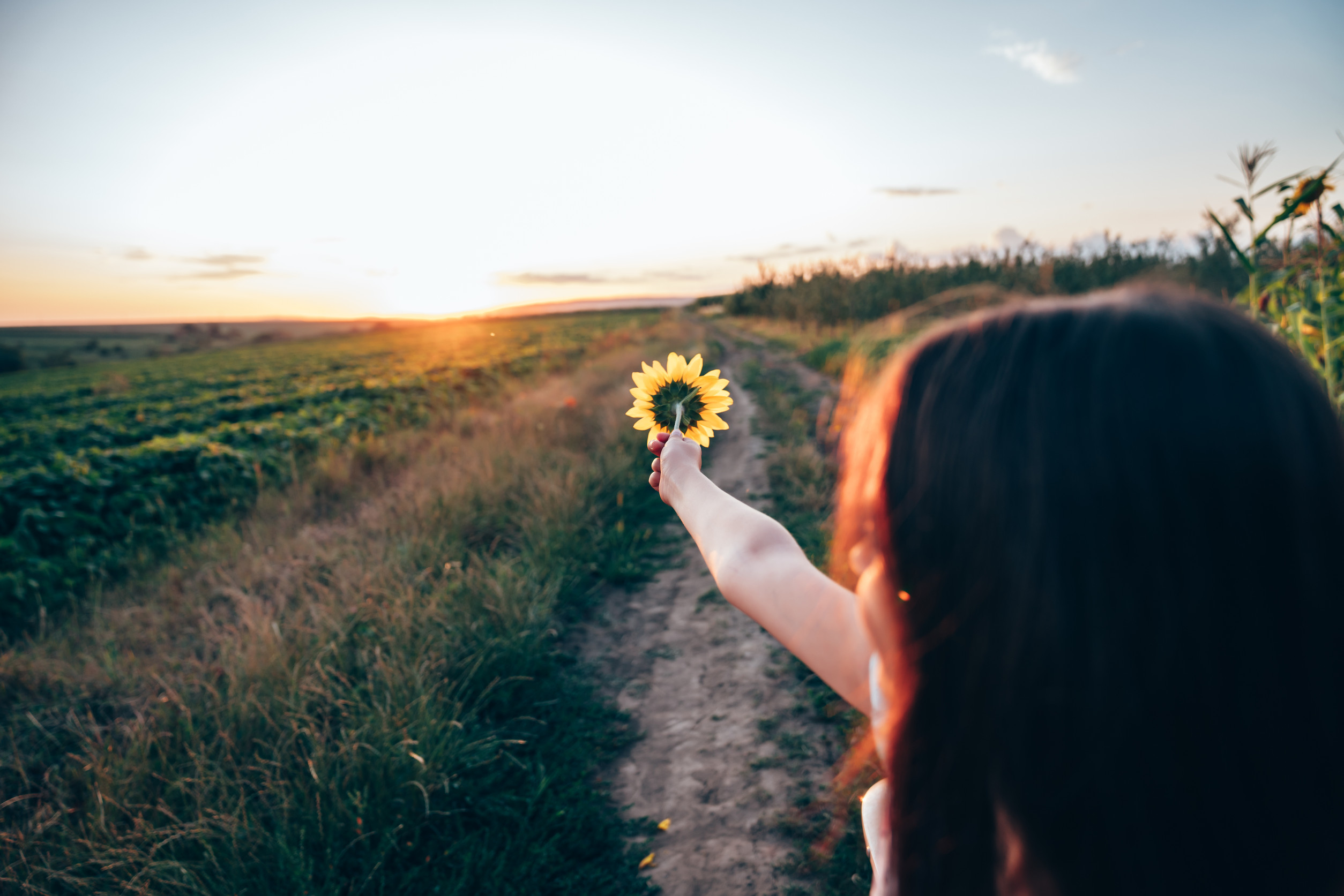 Shake off your scarcity mindse