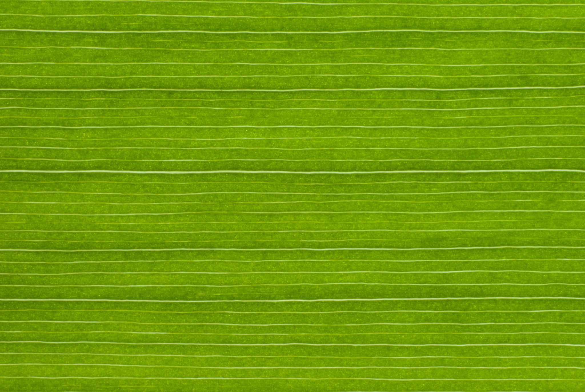 These effective face masks are