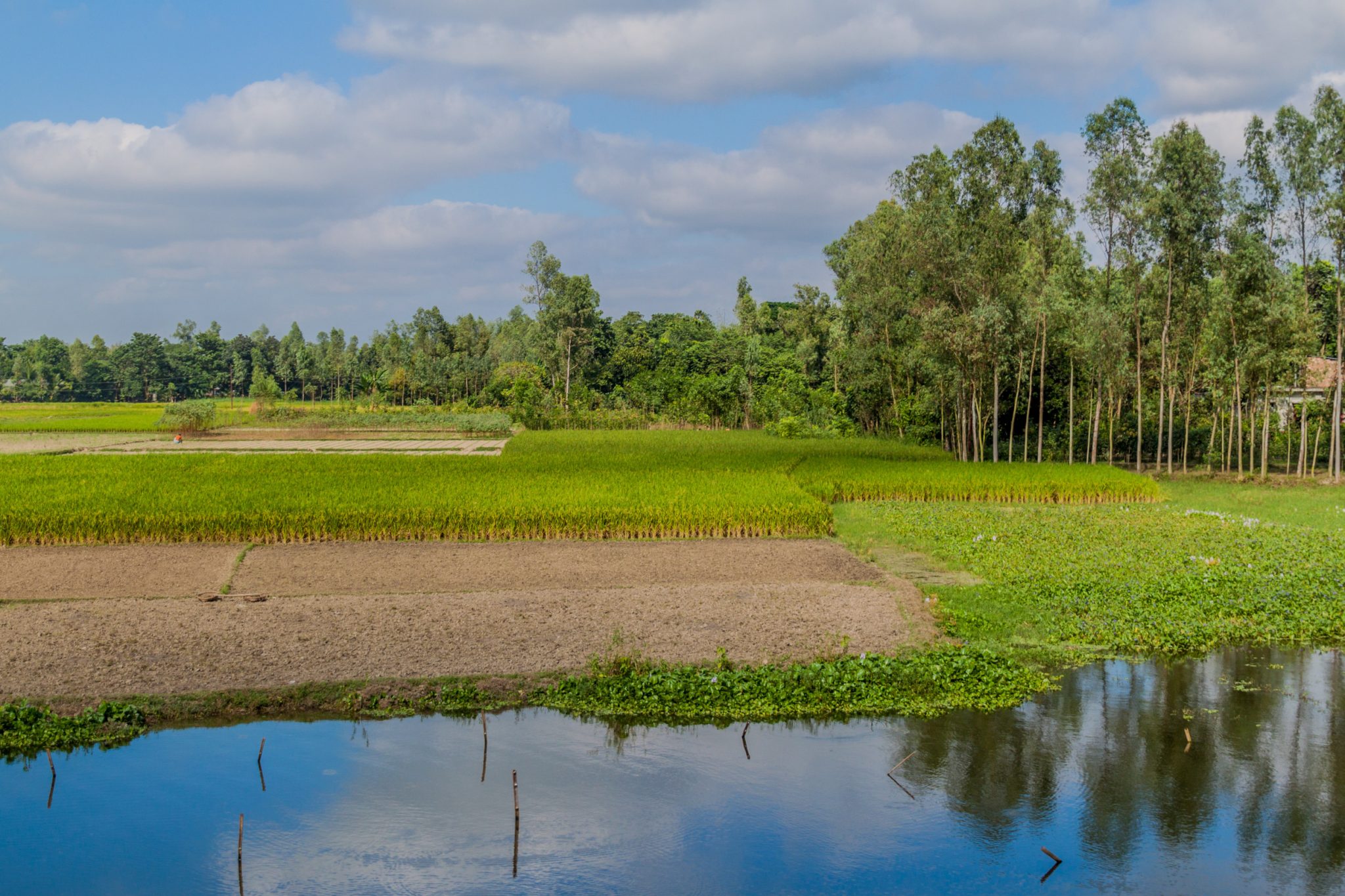 How will farmers face rising s