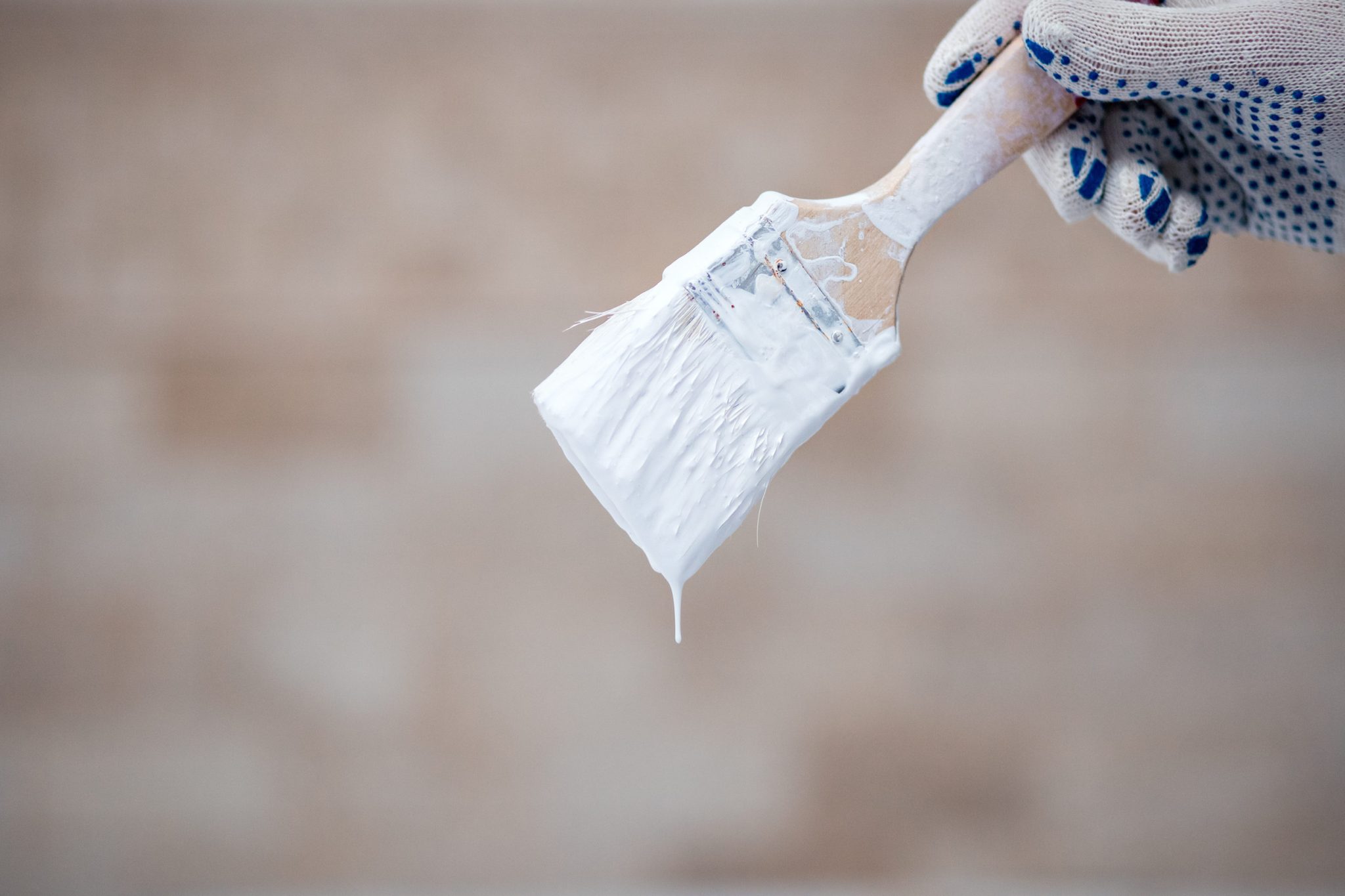 Gloved hand holding a paintbrush with white paint dripping from the bristles against a neutral blurred background
