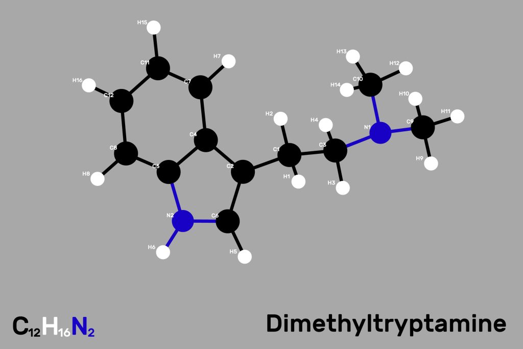 Single dose of DMT shows promise for treatment-resistant depression in early clinical trial