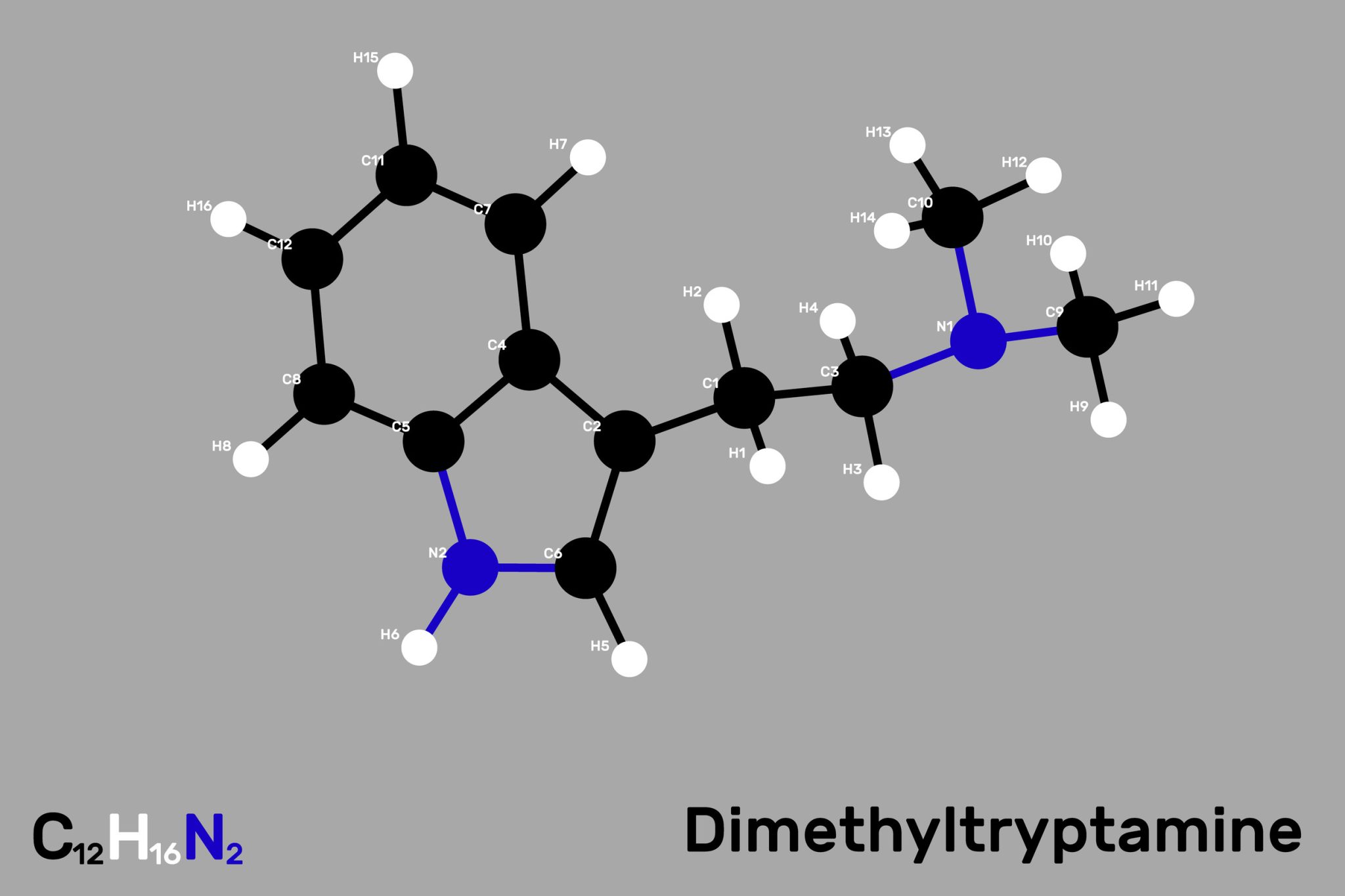 Single dose of DMT shows promi
