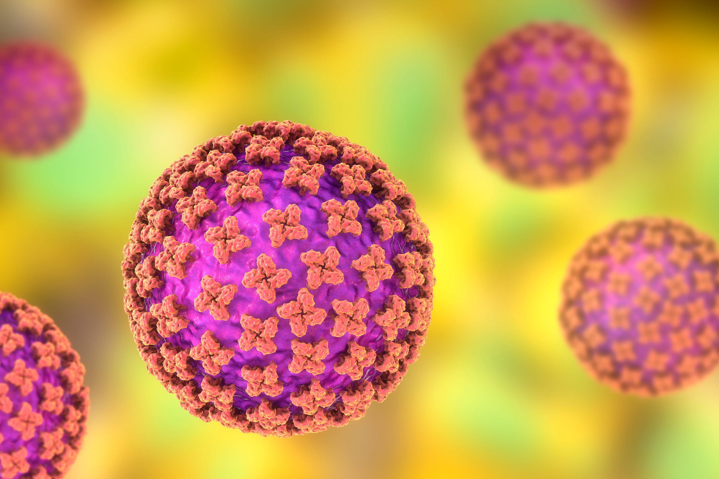 Why experts say the hantavirus outbreak is not another COVID
