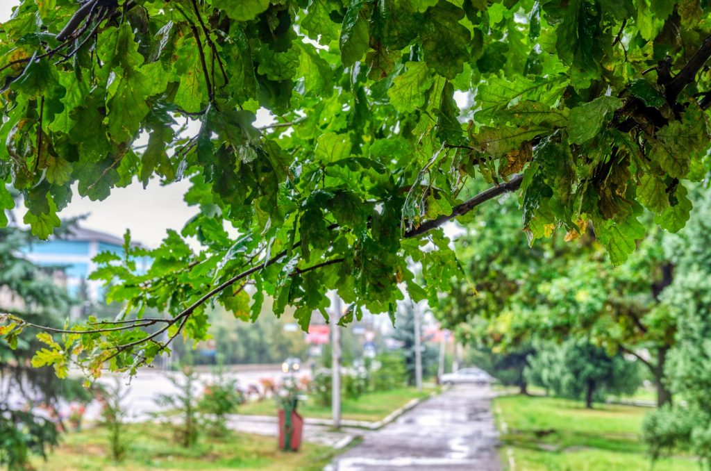 How integrated environmental projects balance nature conservation and people’s well-being