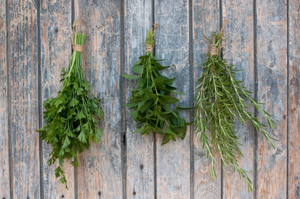 The ultimate guide to drying and storing fresh garden herbs for year-round homegrown flavor