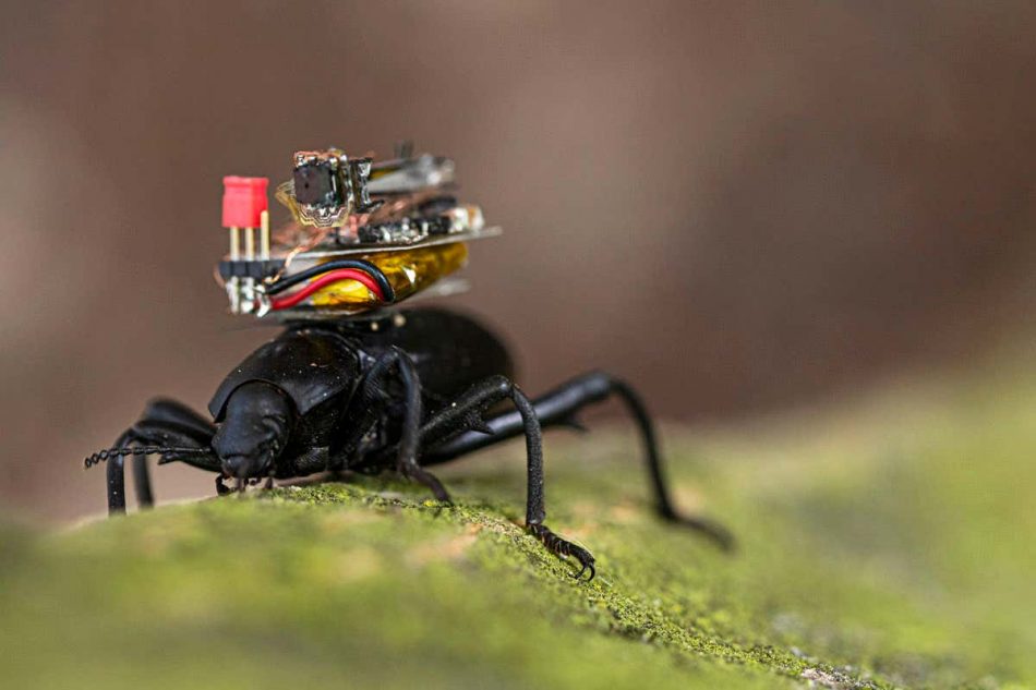 Scientists create tiny camera 