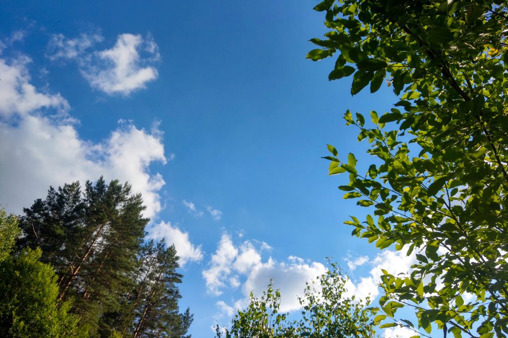 Investing in planetary health could unlock $20 trillion a year by 2070, says UN report