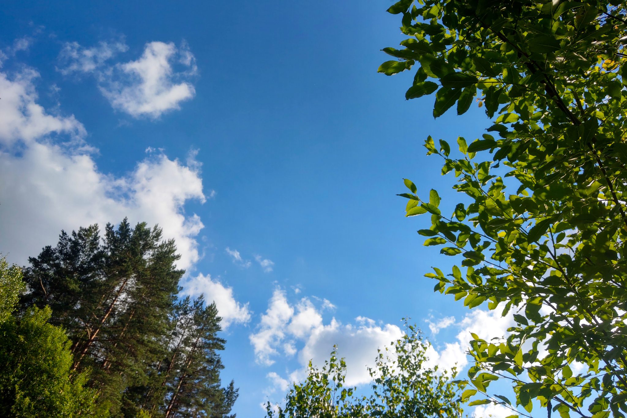 Investing in planetary health 