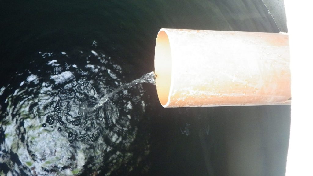 Smartphone test detects water contamination in under a minute