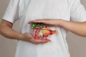 Person in a white shirt holds a colorful plastic human anatomy model in front of their torso, showing internal organs.
