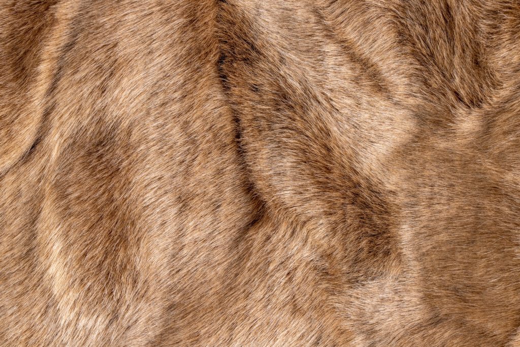 A 58-day protest campaign just convinced Etsy to ban fur