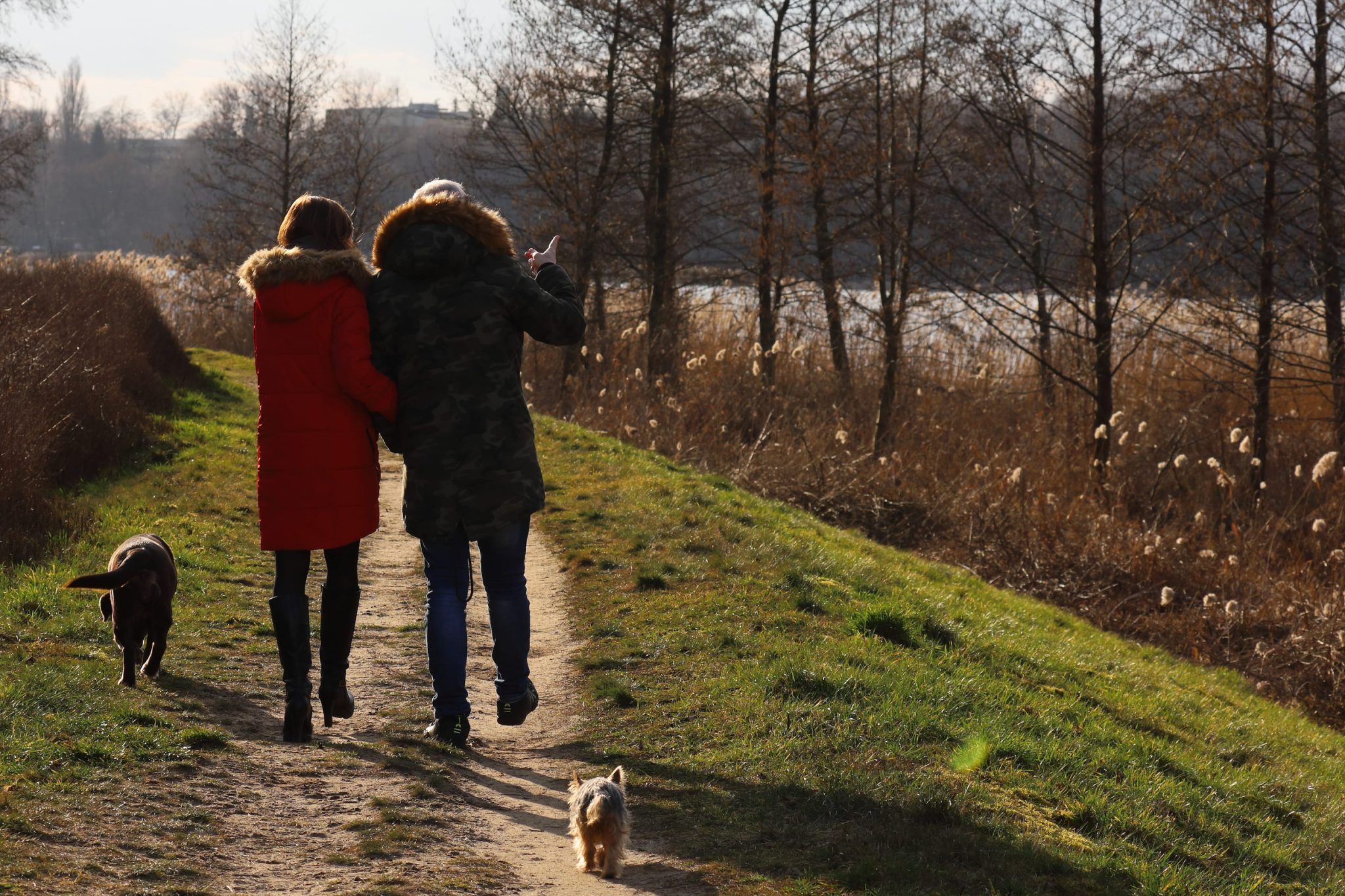 Untracked daily walking beats 