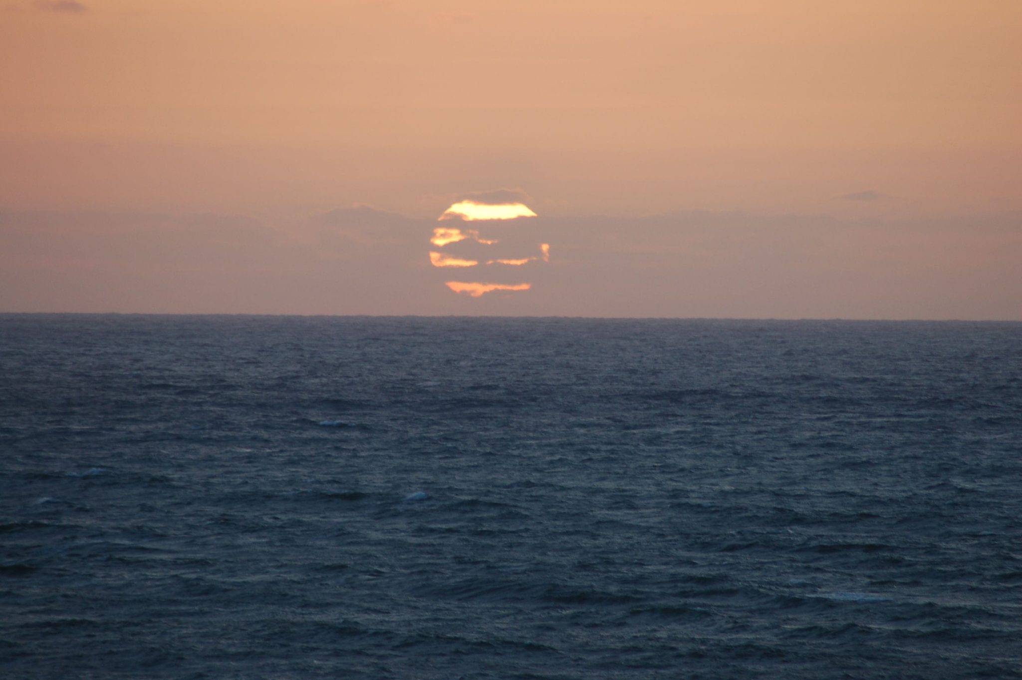 24 creatures get their first n