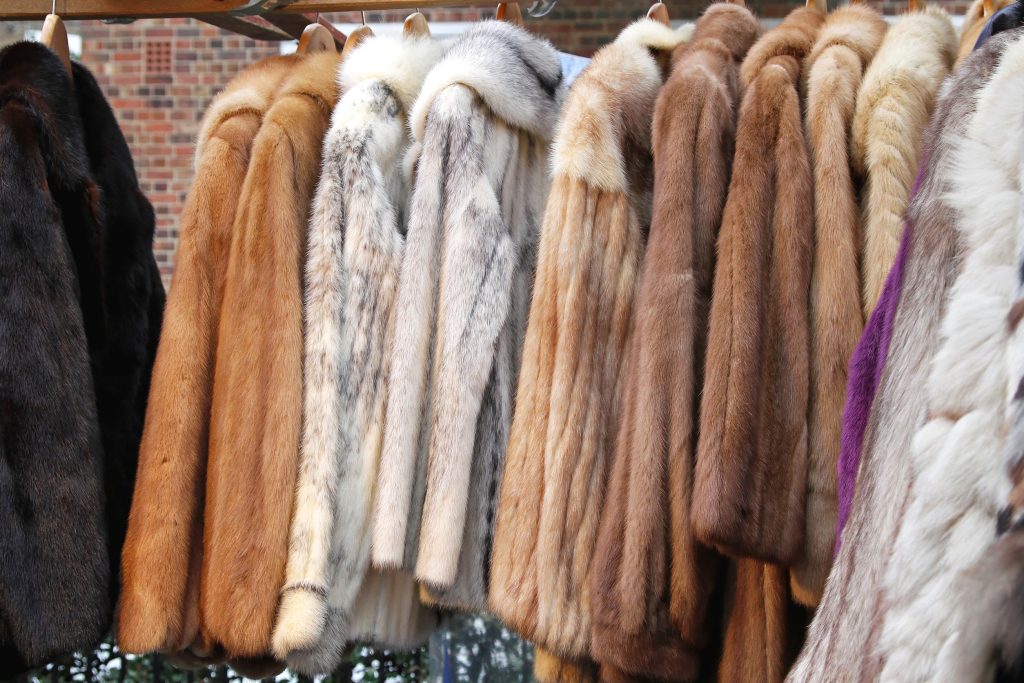 Norway bids farewell to fur farming in a milestone for animal welfare