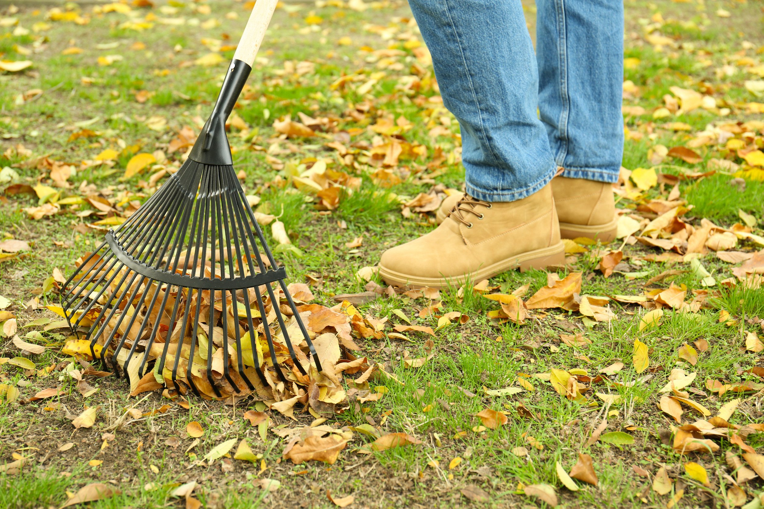 5 fall lawn care mistakes to a