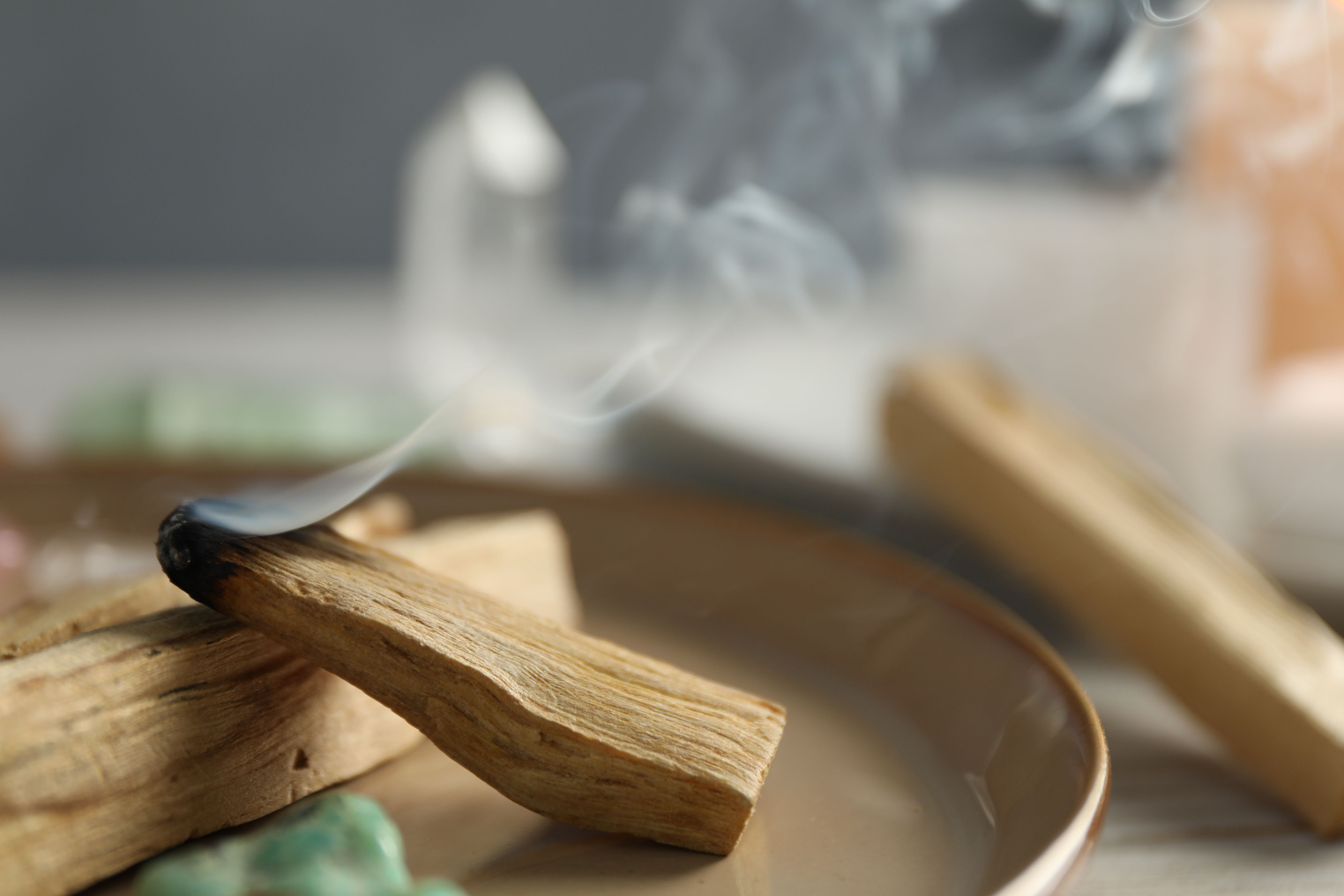 Palo Santo explained: history,