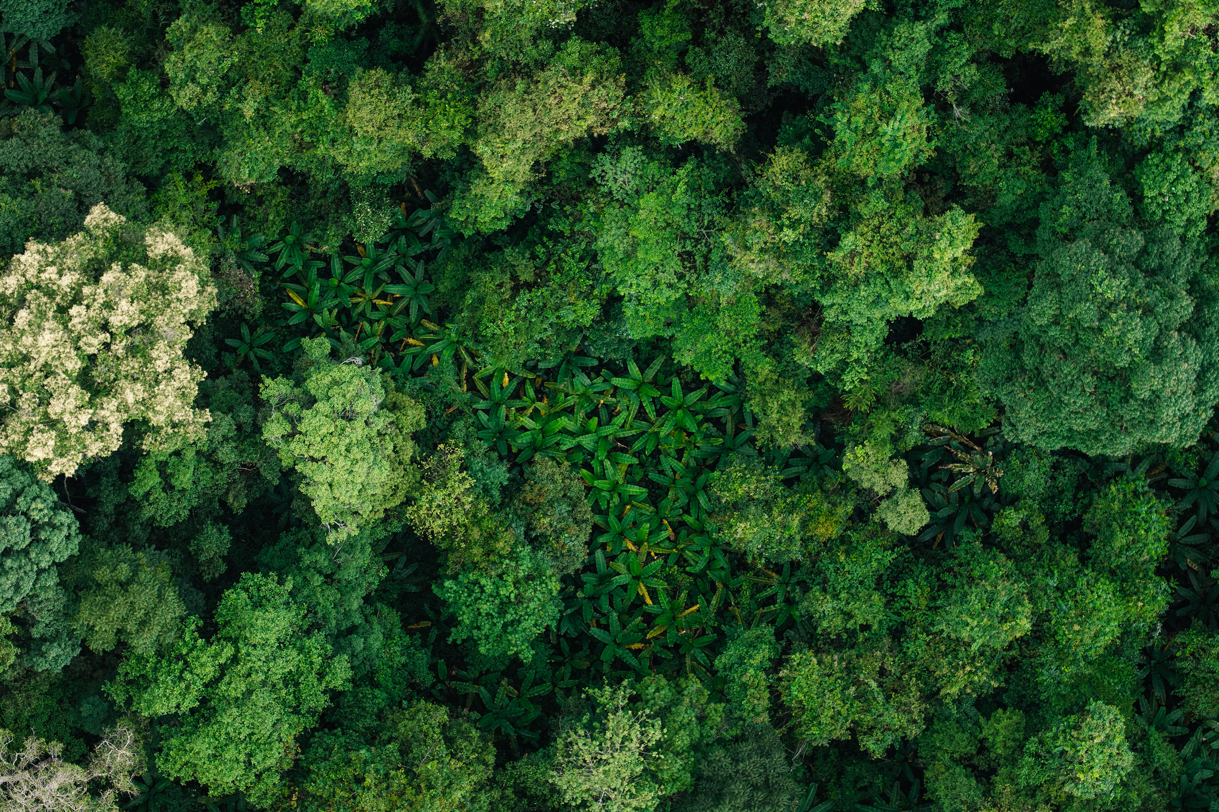 Thought Leader Series: Rethink