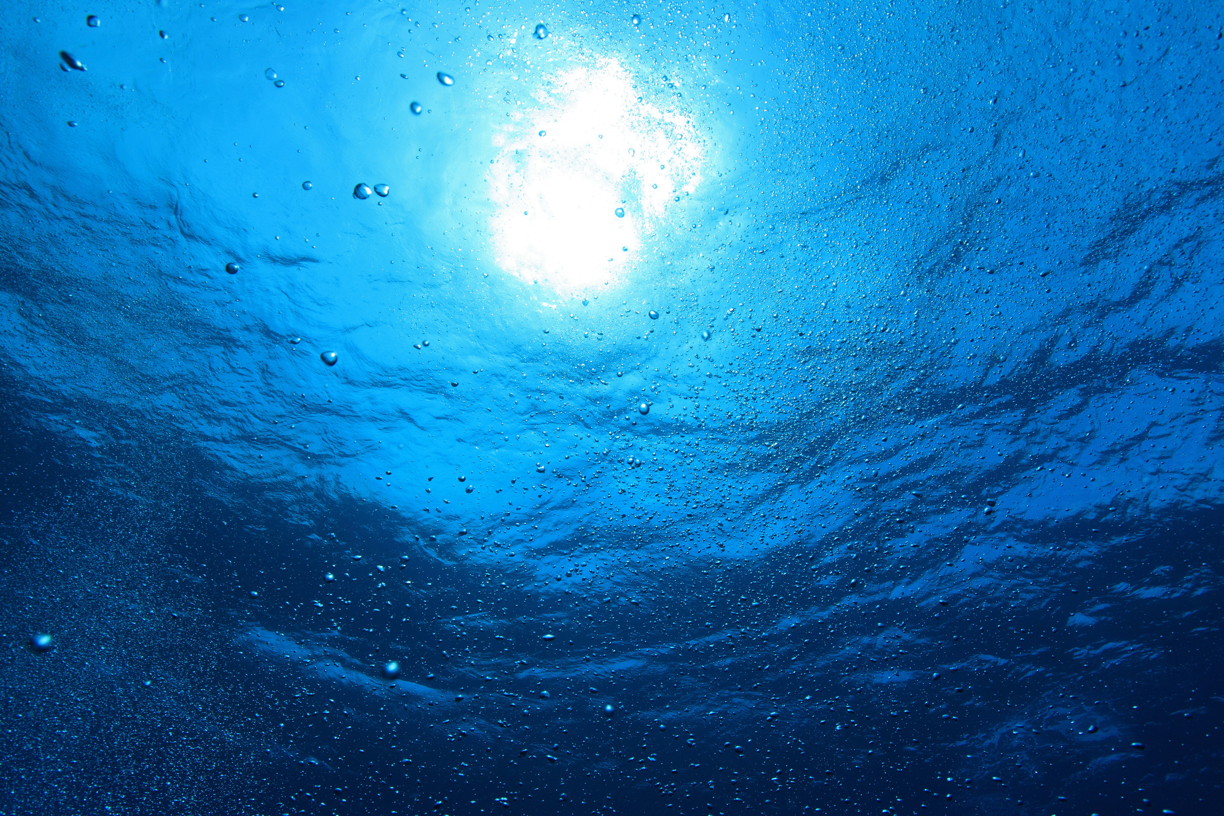 Italian fisherman uses underwa