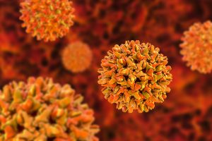 Close-up view of orange virus particles with spike-like surfaces against a red background, magnified.