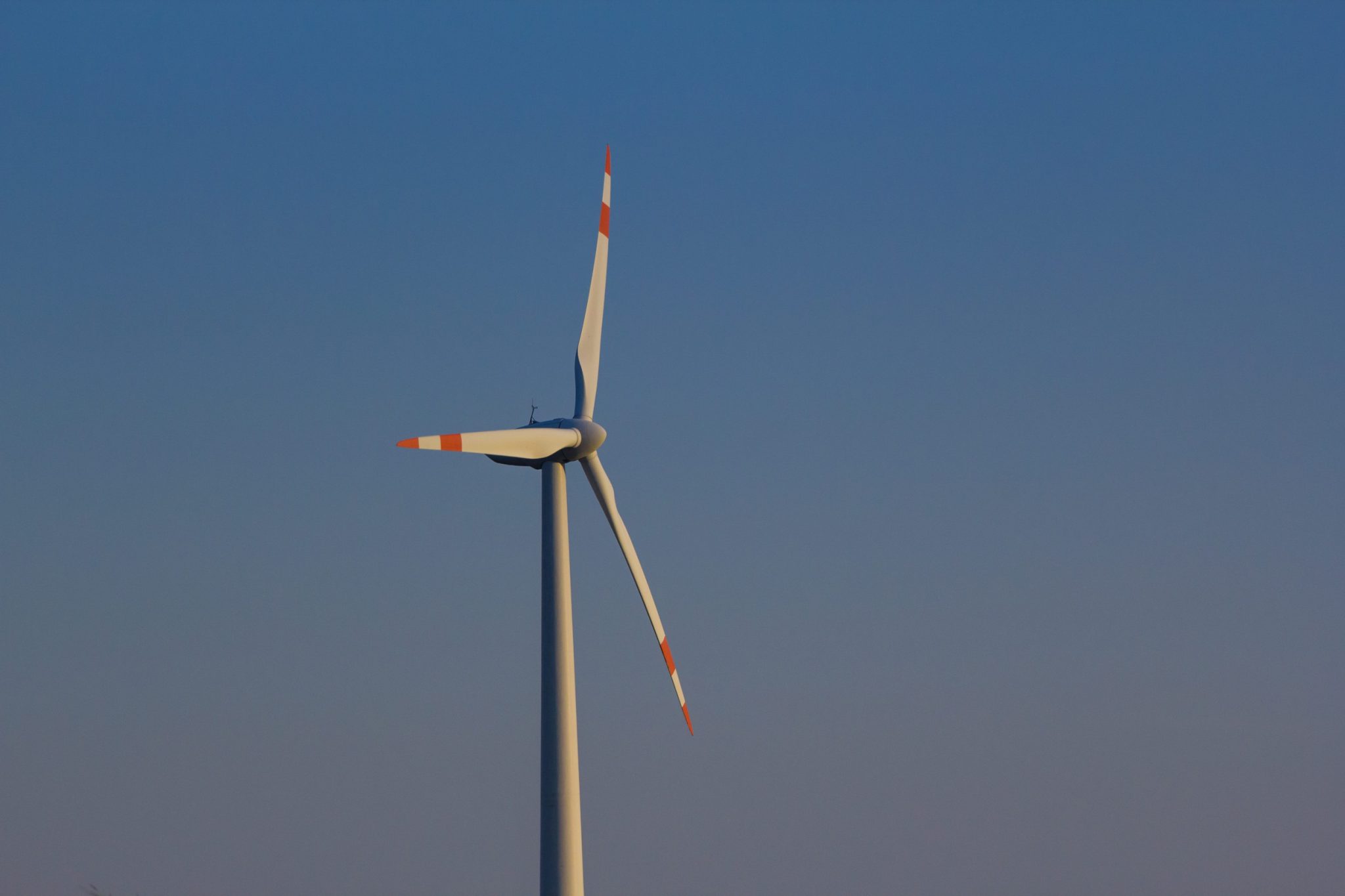 2025: The year renewables fina