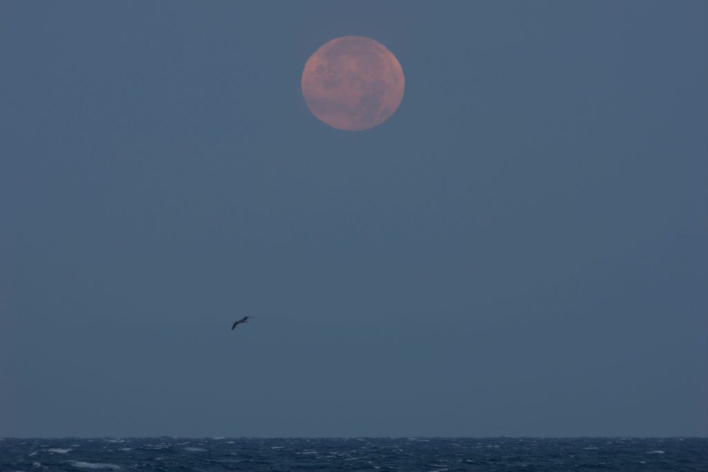 8 sky events all stargazers should catch this month