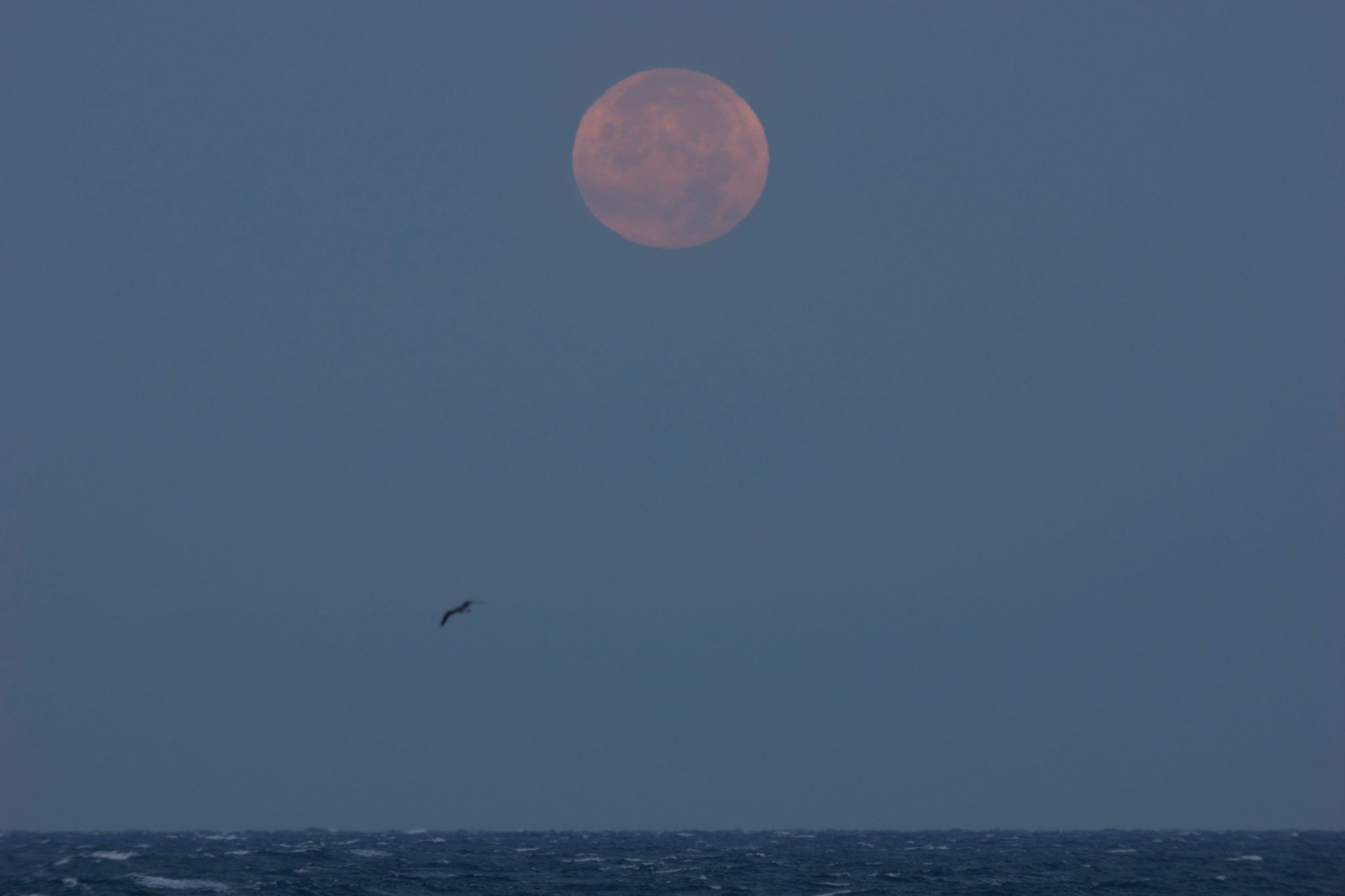 8 sky events all stargazers sh