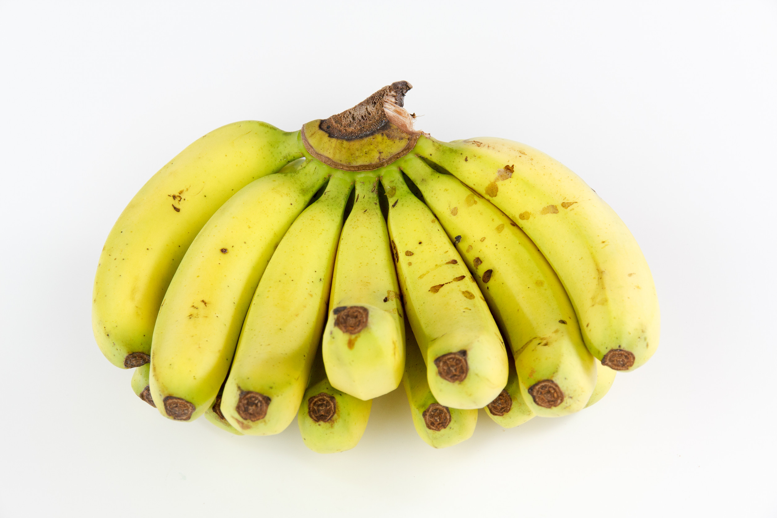 Study suggests an underripe ba