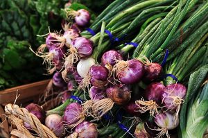 Bundle of purple onions with green stalks tied with blue ties at a market stall