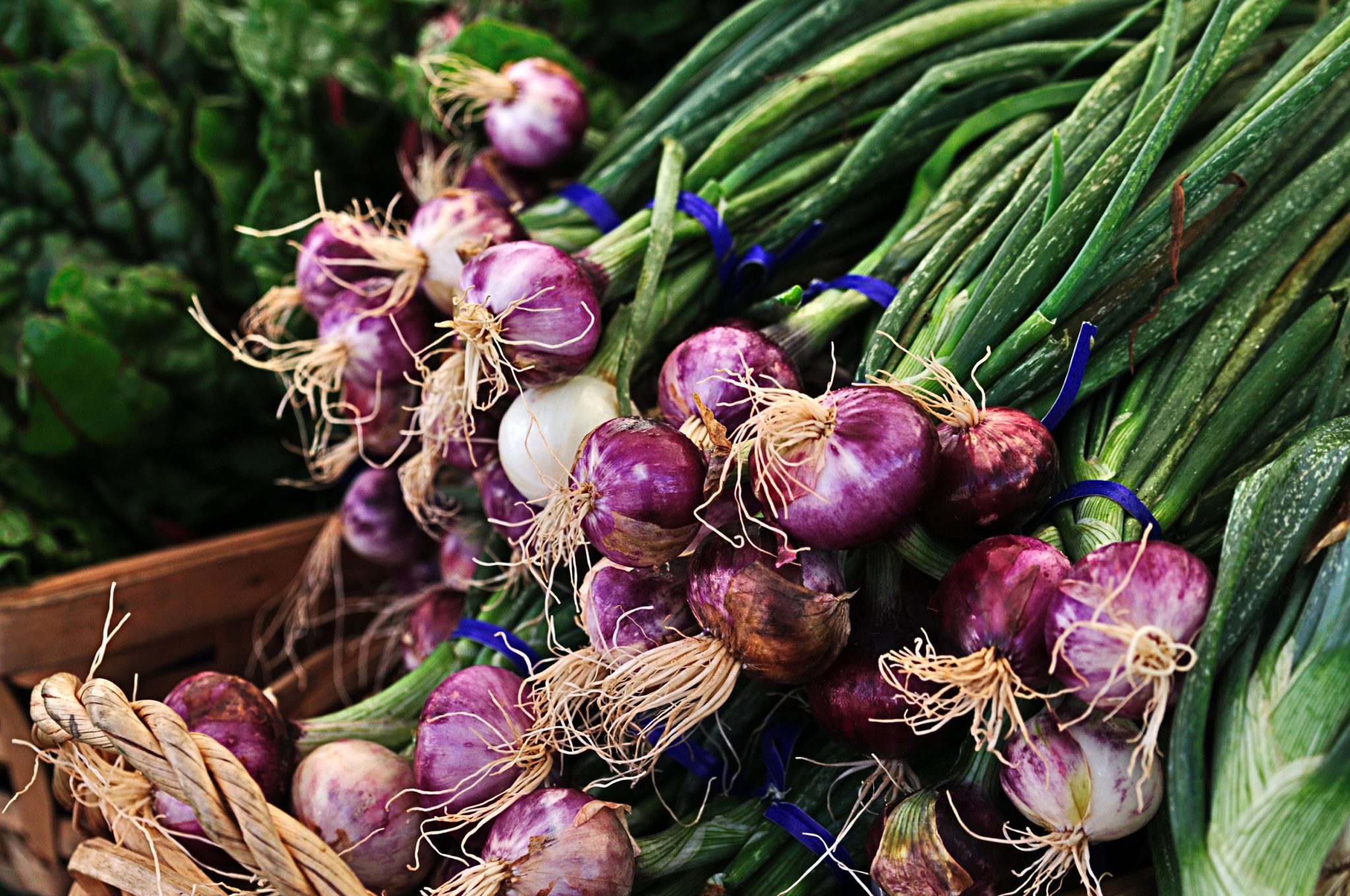 Bundle of purple onions with green stalks tied with blue ties at a market stall