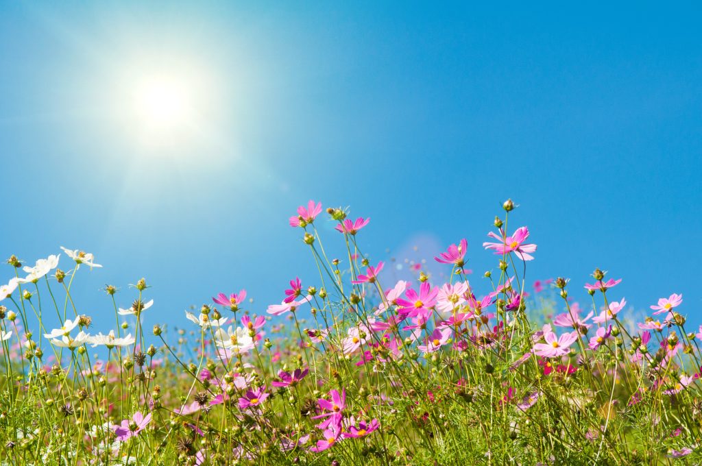 Honoring the spring equinox: Lessons from Indigenous rituals for balance and renewal