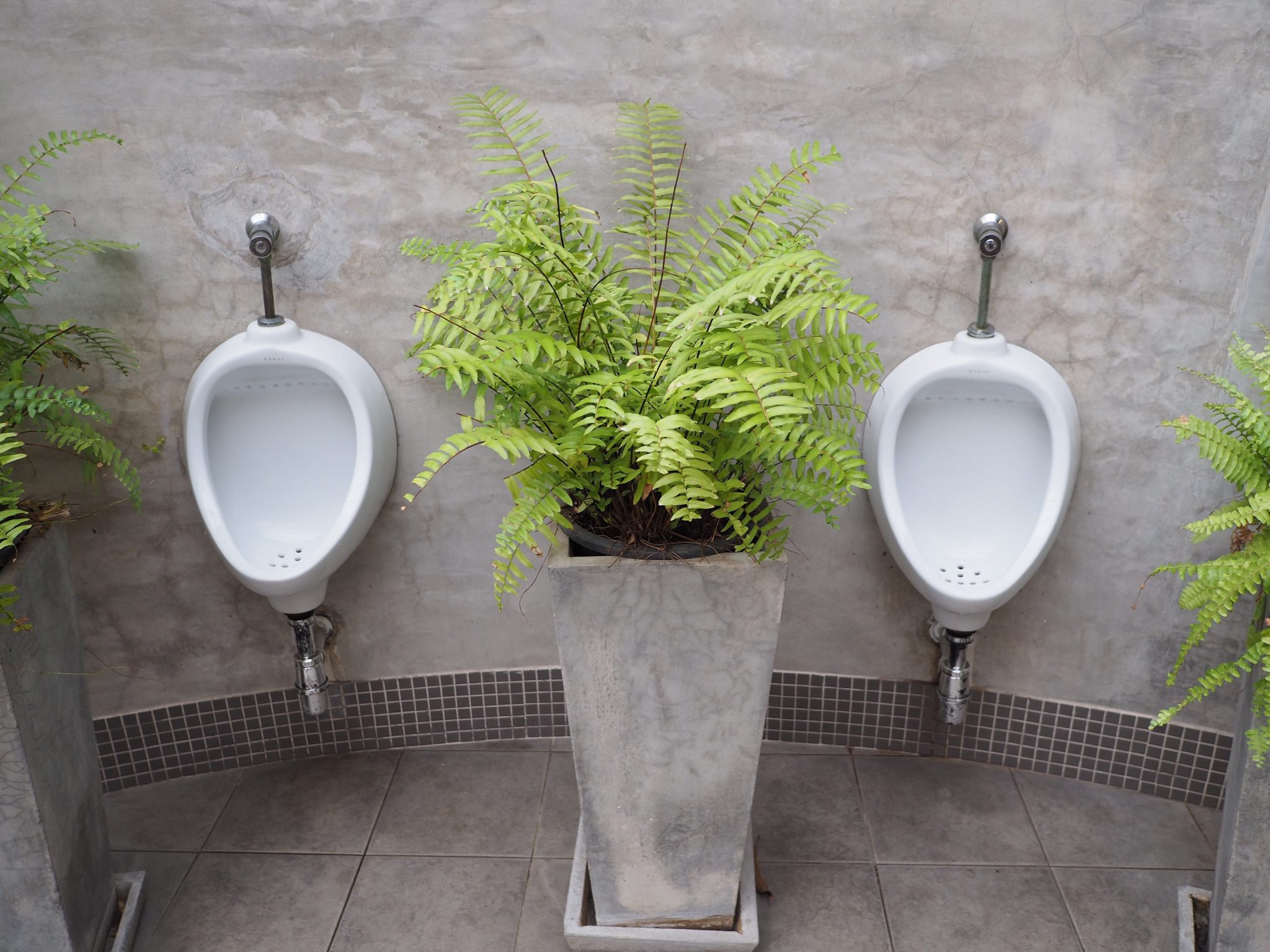 Pee could help feed the world