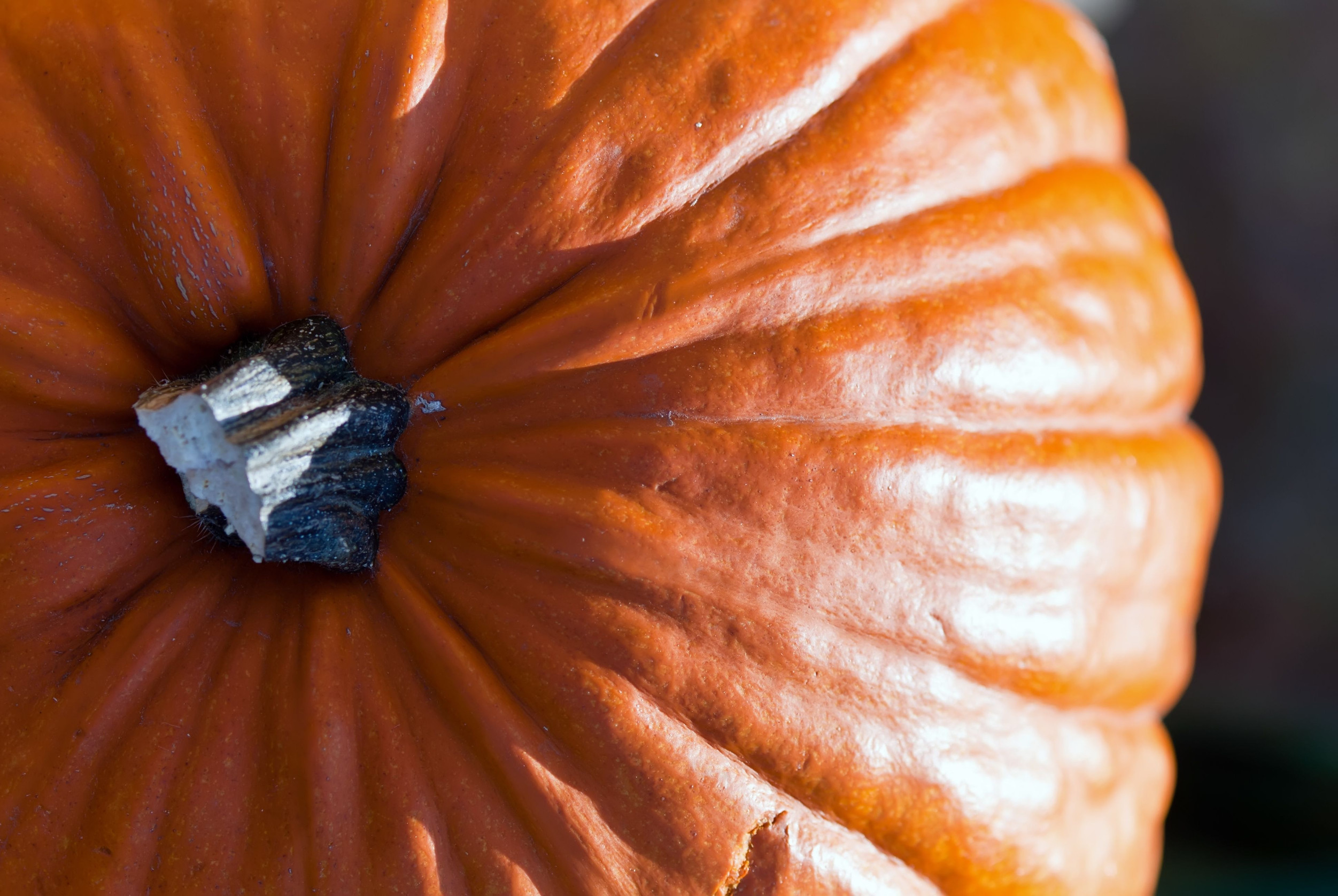 The surprising history of pump