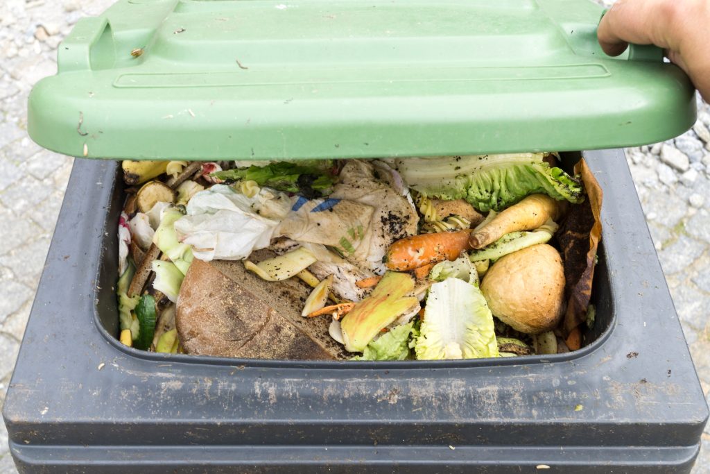 New York City begins enforcing mandatory composting to cut waste and emissions