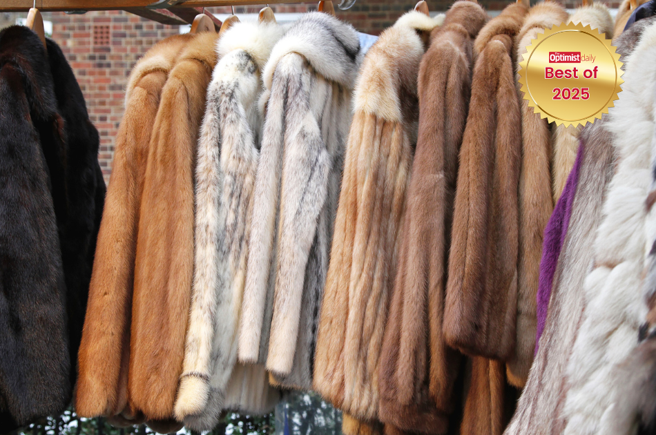 Ireland makes basic income for