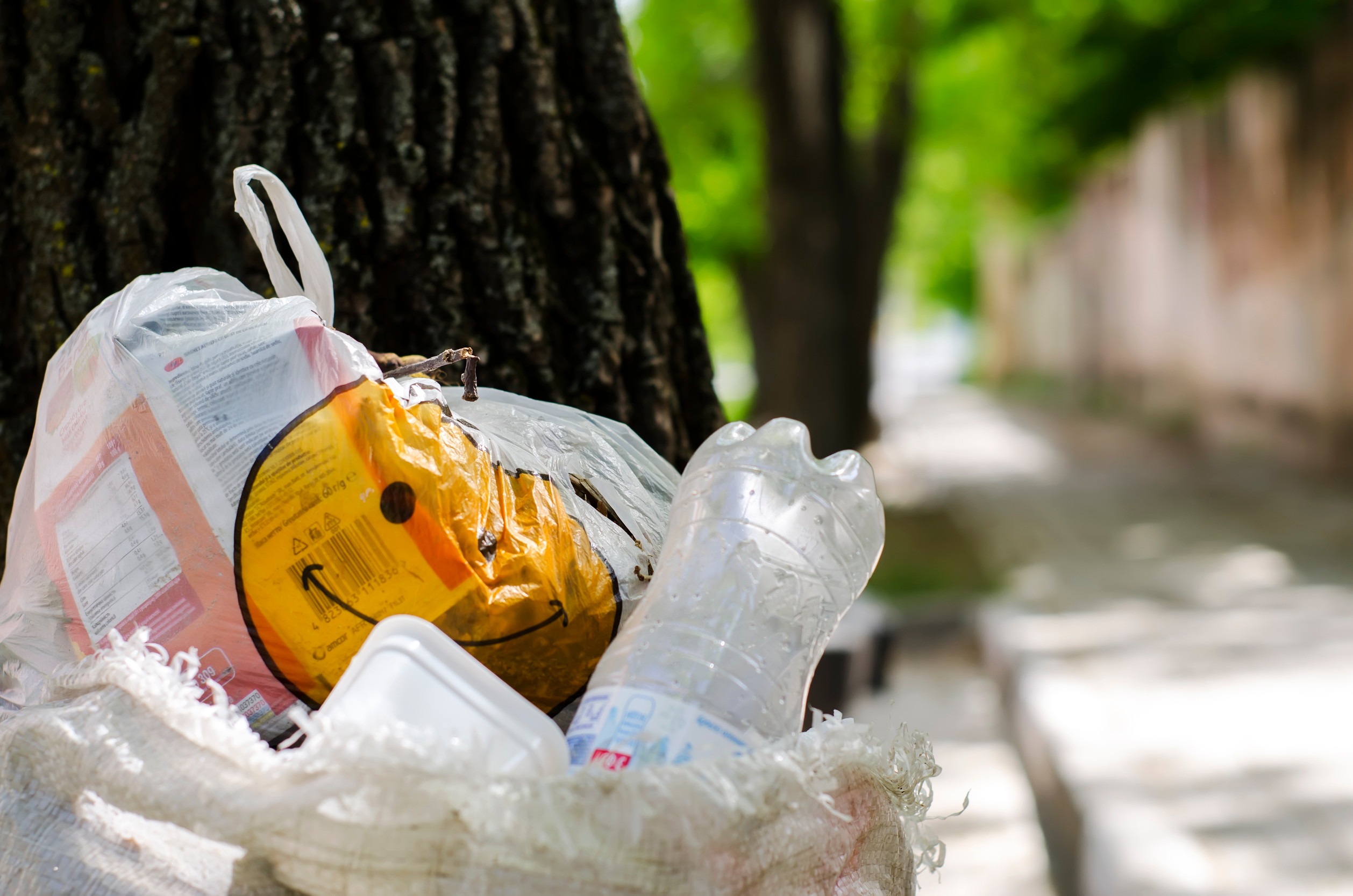 India bans single-use plastics