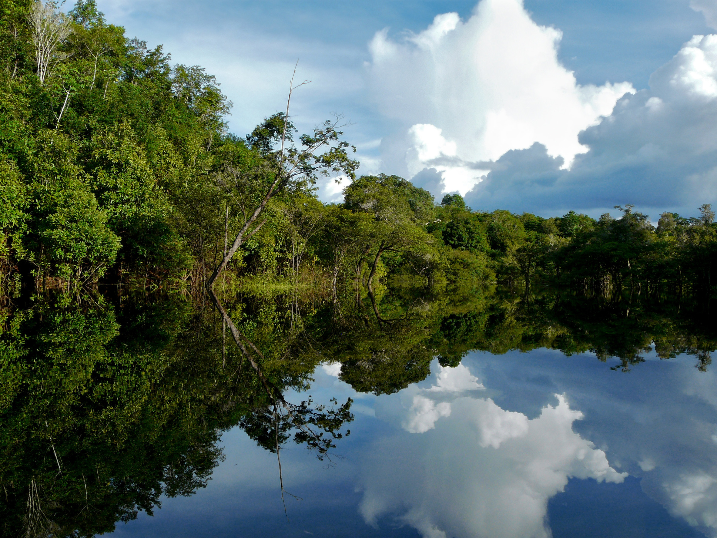 Deforestation in Brazil’s Am