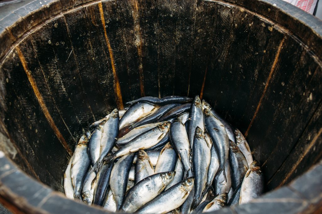 World Trade Organization launches first global agreement to curb overfishing