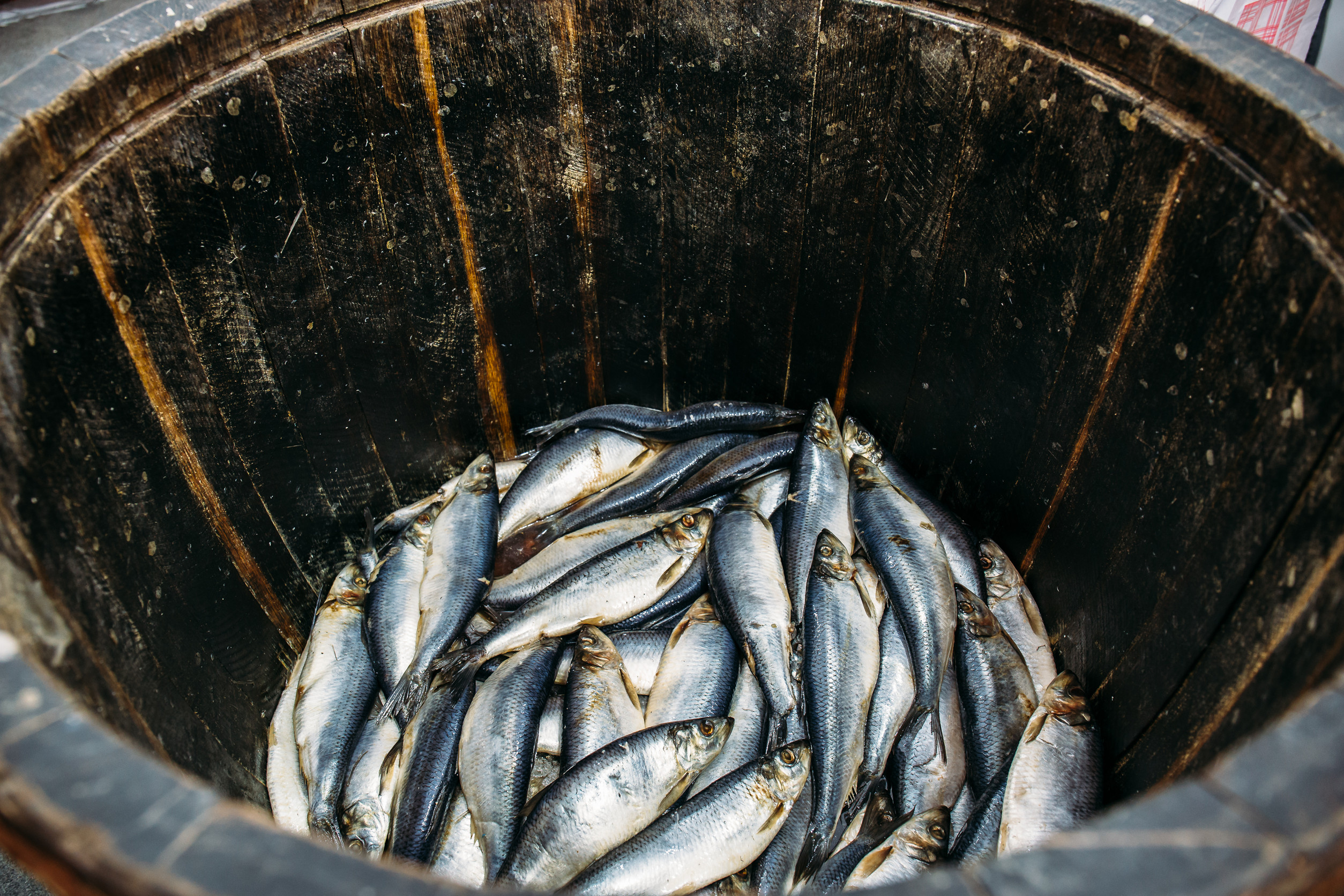 World Trade Organization launc