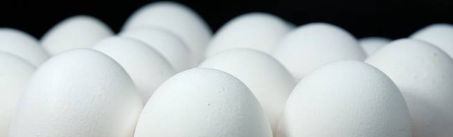 Egg whites could help power a 