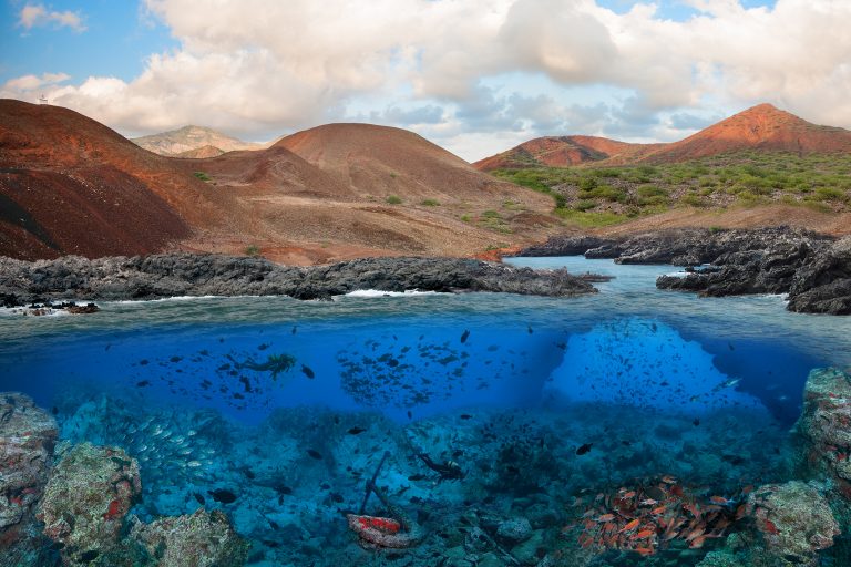 travel to ascension island