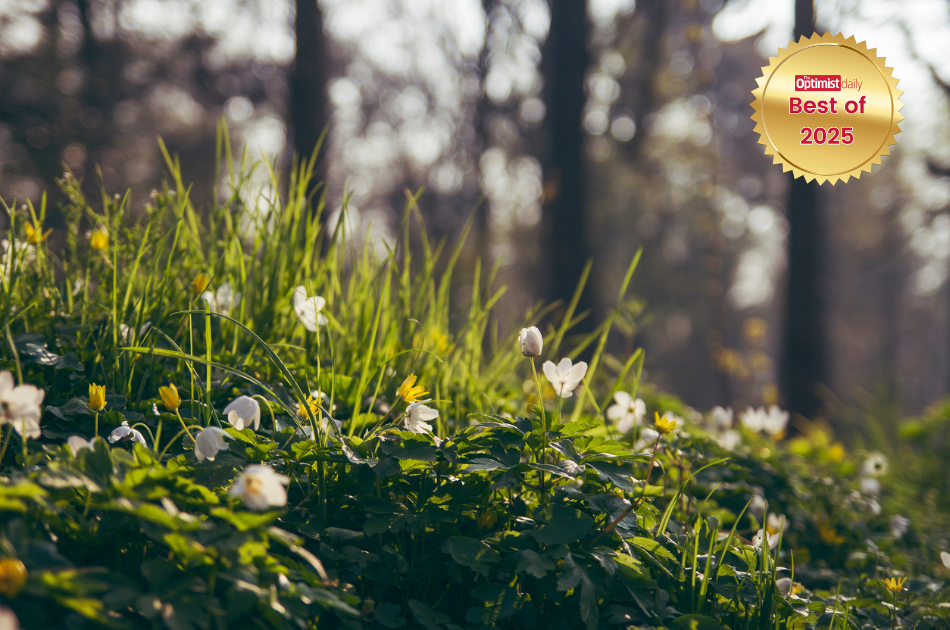 Michael Bloomberg steps up to 