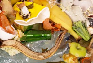 Container Deposit Note Depositphotos_112863948_S | The Optimist Daily: Making Solutions the News