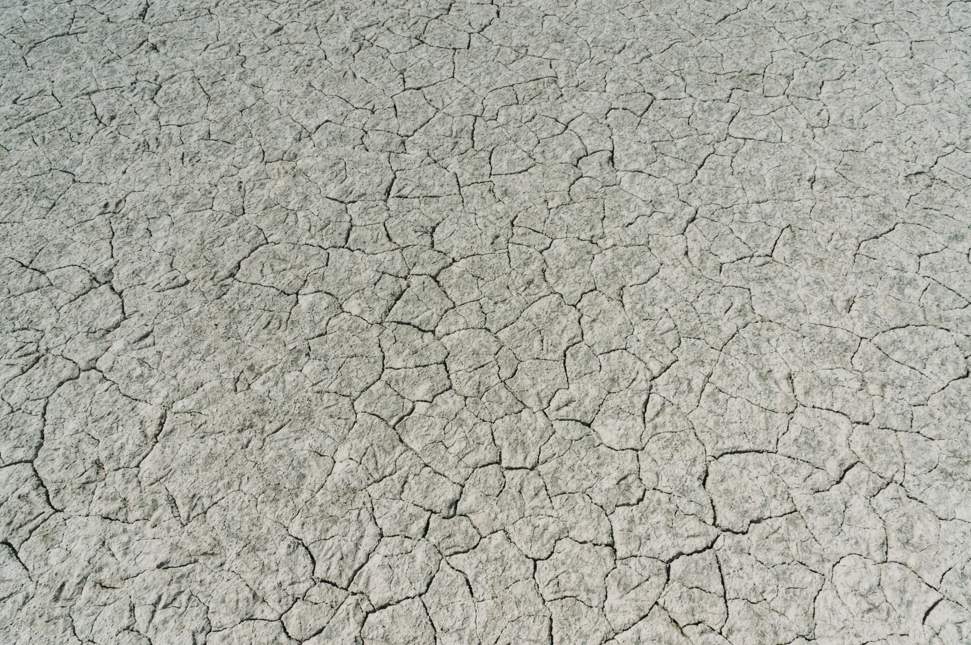 Parched, cracked earth with a pattern of irregular gray cracks across the surface